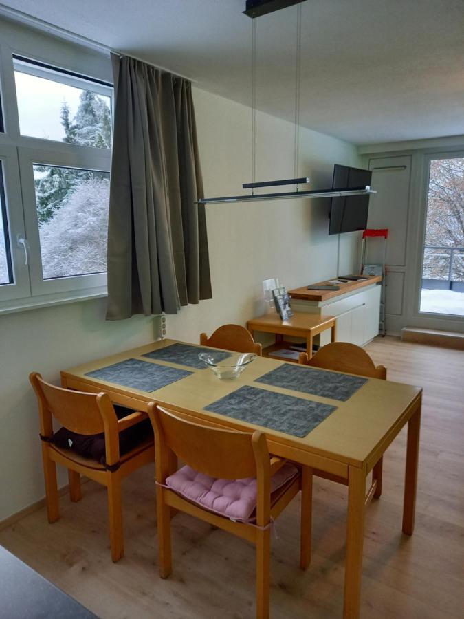 Bayerwald Appartement Sankt Englmar Bagian luar foto